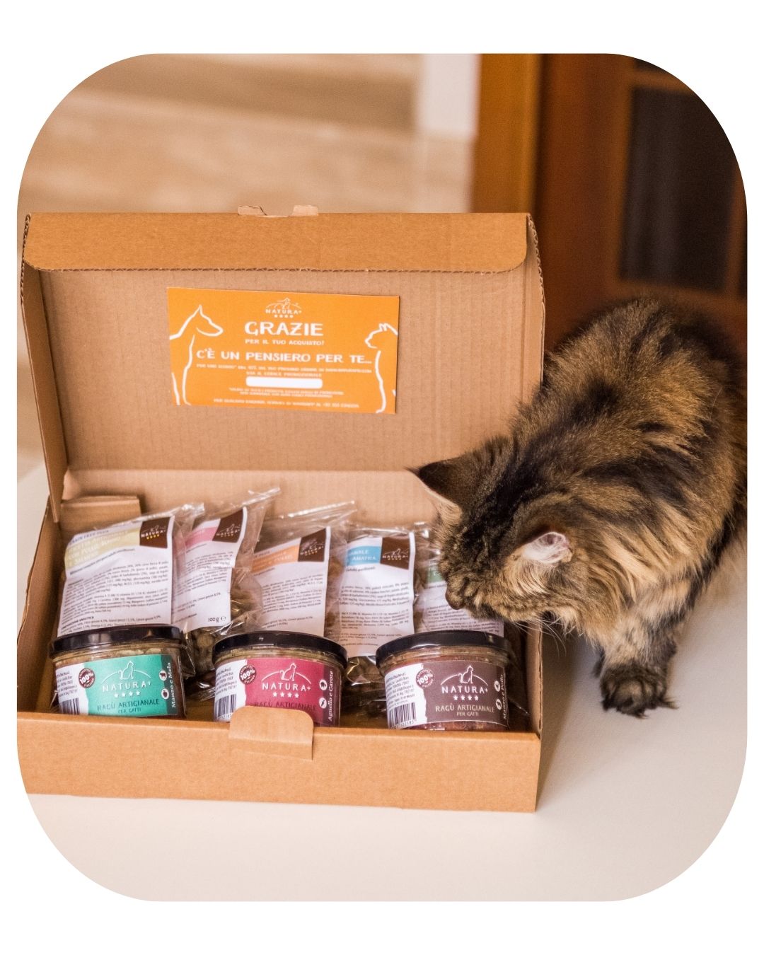 Tasting Kit